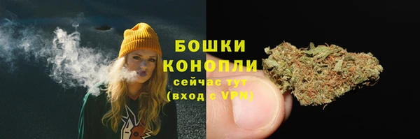 дживик Дмитриев