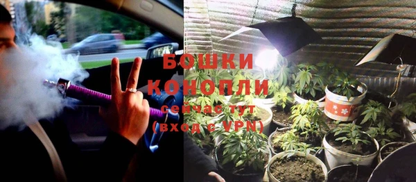 молекула духа Тавда