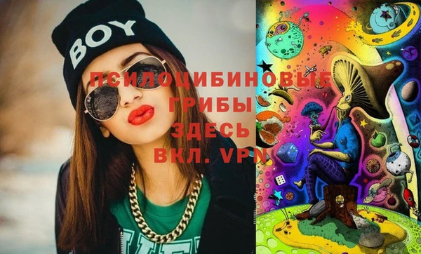 спиды Дмитров