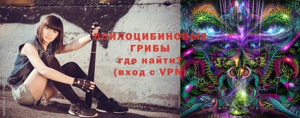 дживик Дмитриев