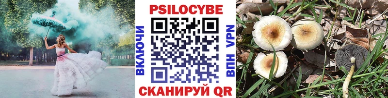 Псилоцибиновые грибы Cubensis  Зверево 