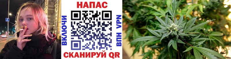 где купить наркоту  Зверево  Бошки марихуана Ganja 